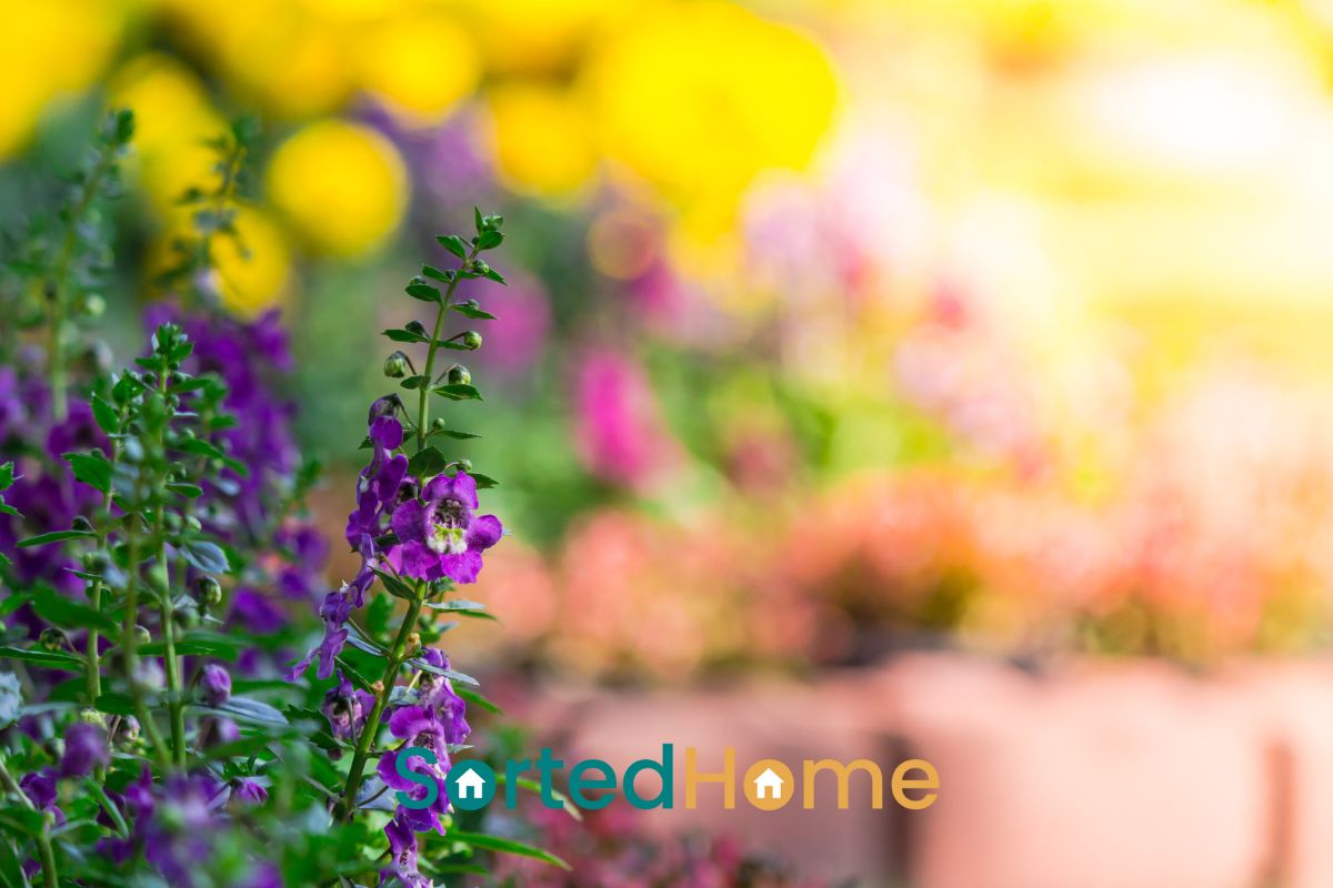 How can I make my garden low‑maintenance all year round